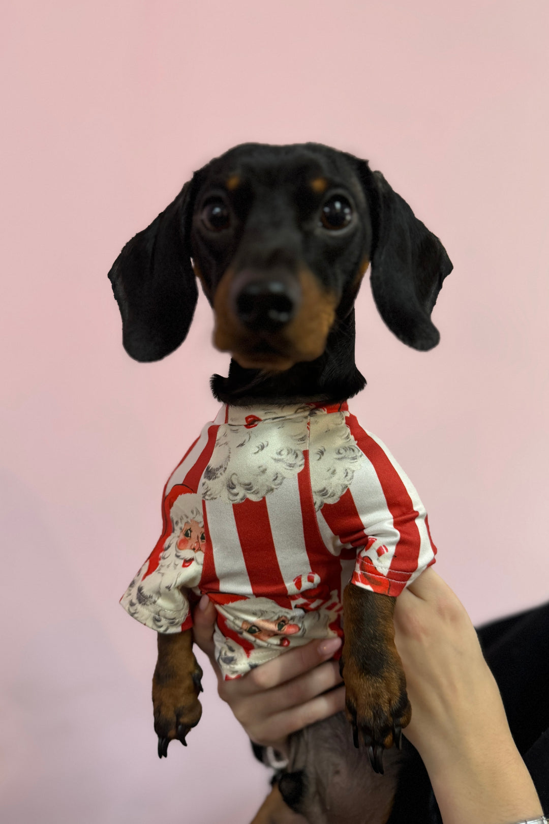 Dog Santa Stripe Snuggle Fit Suit