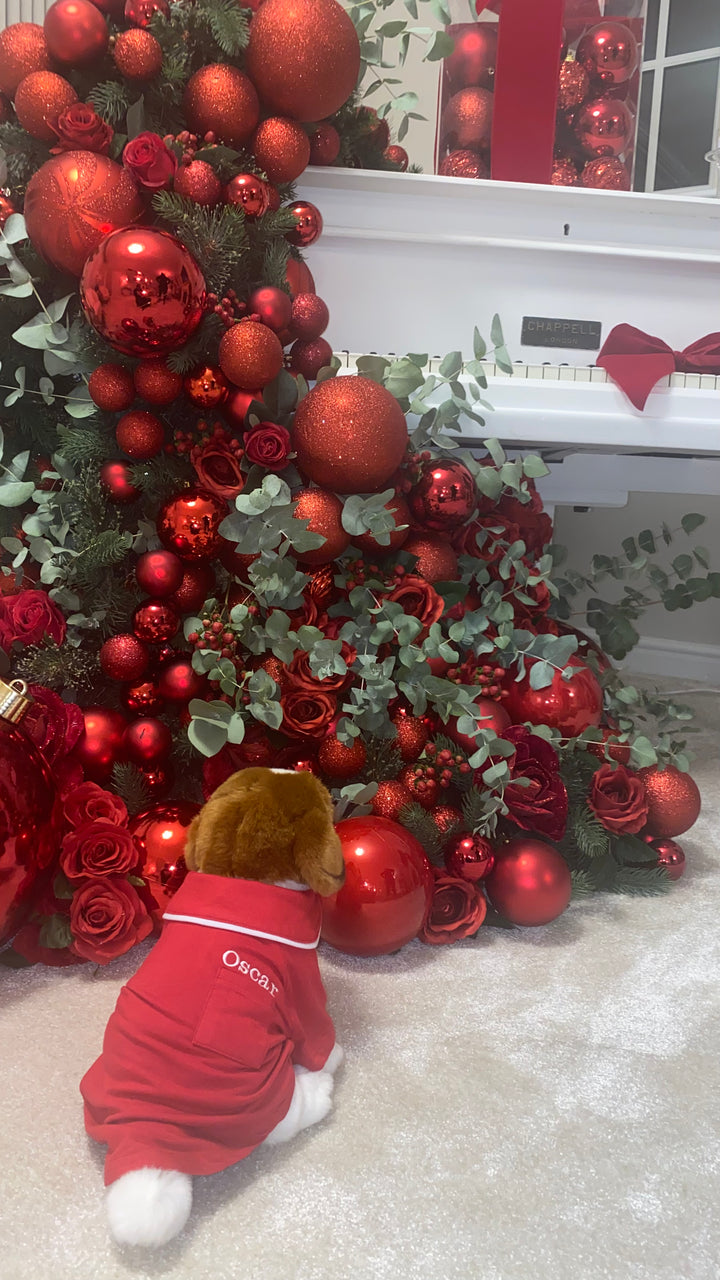 Red & White Personalised Dog Suit