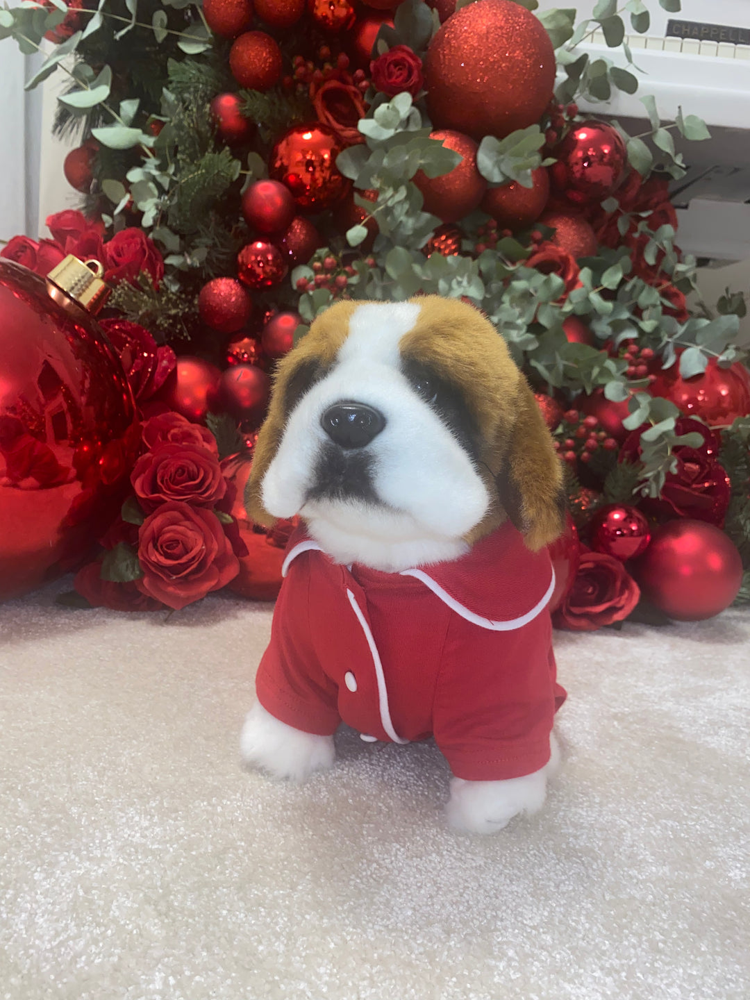 Red & White Personalised Dog Suit